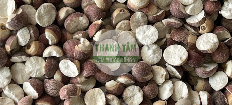 Vị thuốc Khiếm thực | Nhà thuốc Thanh Tâm