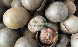 Vị thuốc La hán quả | Nhà thuốc Thanh Tâm