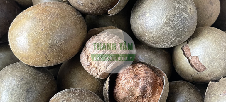 Vị thuốc La hán quả | Nhà thuốc Thanh Tâm