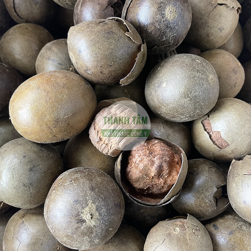 La hán quả – vị thuốc thanh phế kiện tỳ