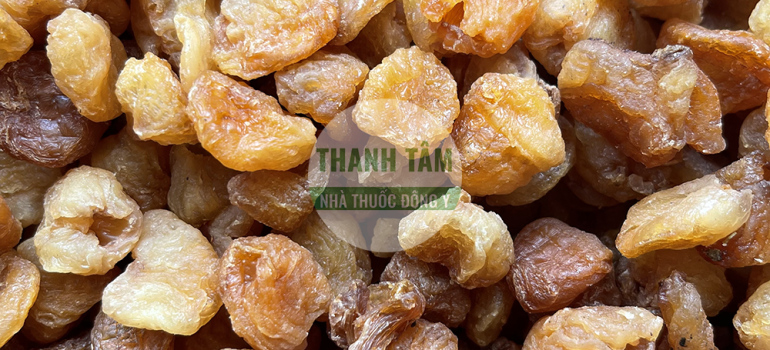 Vị thuốc Long nhãn sấy khô | Nhà thuốc Thanh Tâm