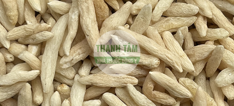 Vị thuốc Mạch môn | Nhà thuốc Thanh Tâm