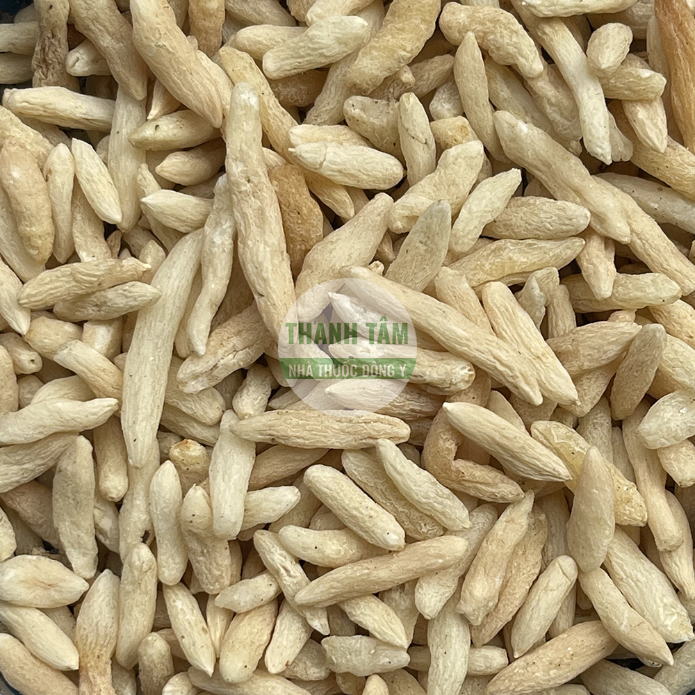 Mạch môn – vị thuốc dưỡng âm nhuận phế trong Đông y