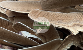 Nấm linh chi Hàn Quốc cắt lát | Nhà thuốc Thanh Tâm