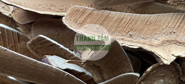 Nấm linh chi Hàn Quốc cắt lát | Nhà thuốc Thanh Tâm