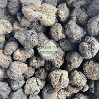 Vị thuốc Sinh địa củ | Nhà thuốc Thanh Tâm