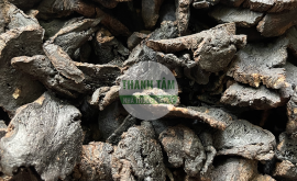 Vị thuốc Sinh địa phiến | Nhà thuốc Thanh Tâm