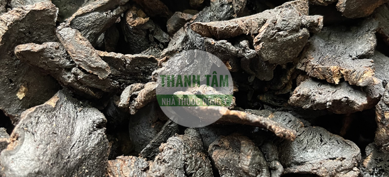 Vị thuốc Sinh địa phiến | Nhà thuốc Thanh Tâm