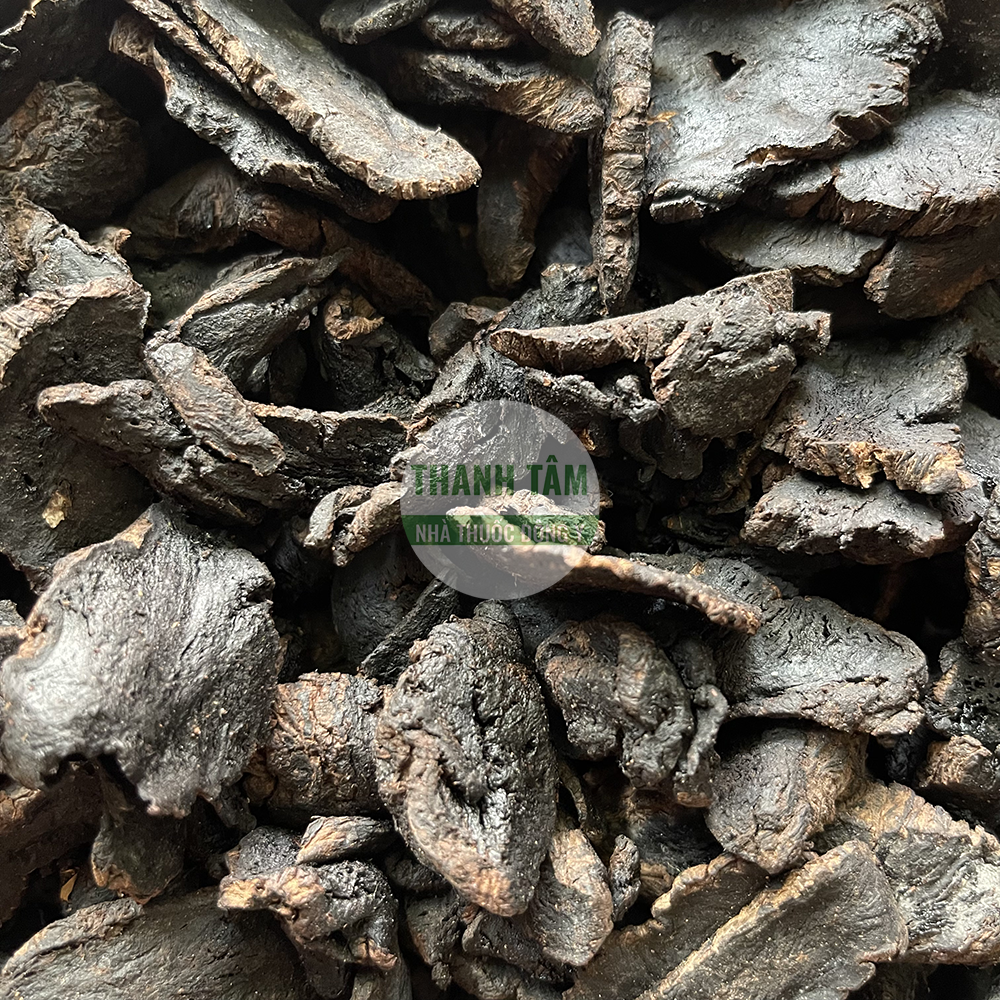 Sinh địa – vị thuốc thanh nhiệt dưỡng âm