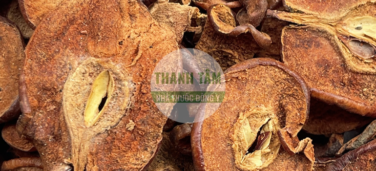 Vị thuốc Sơn tra | Nhà thuốc Thanh Tâm