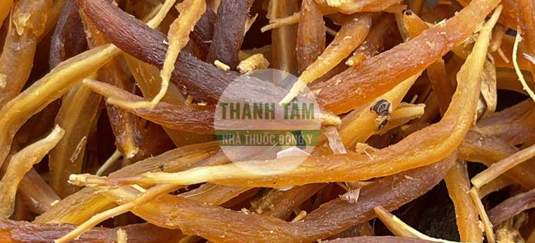 Vị thuốc Thiên môn | Nhà thuốc Thanh Tâm