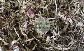 Actiso bông | Nhà thuốc Thanh Tâm