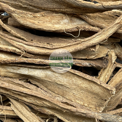 Actiso rễ | Nhà thuốc Thanh Tâm