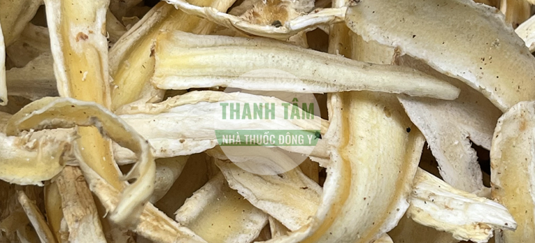 Cát cánh | Nhà thuốc Thanh Tâm