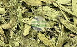 Cỏ ngọt | Nhà thuốc Thanh Tâm