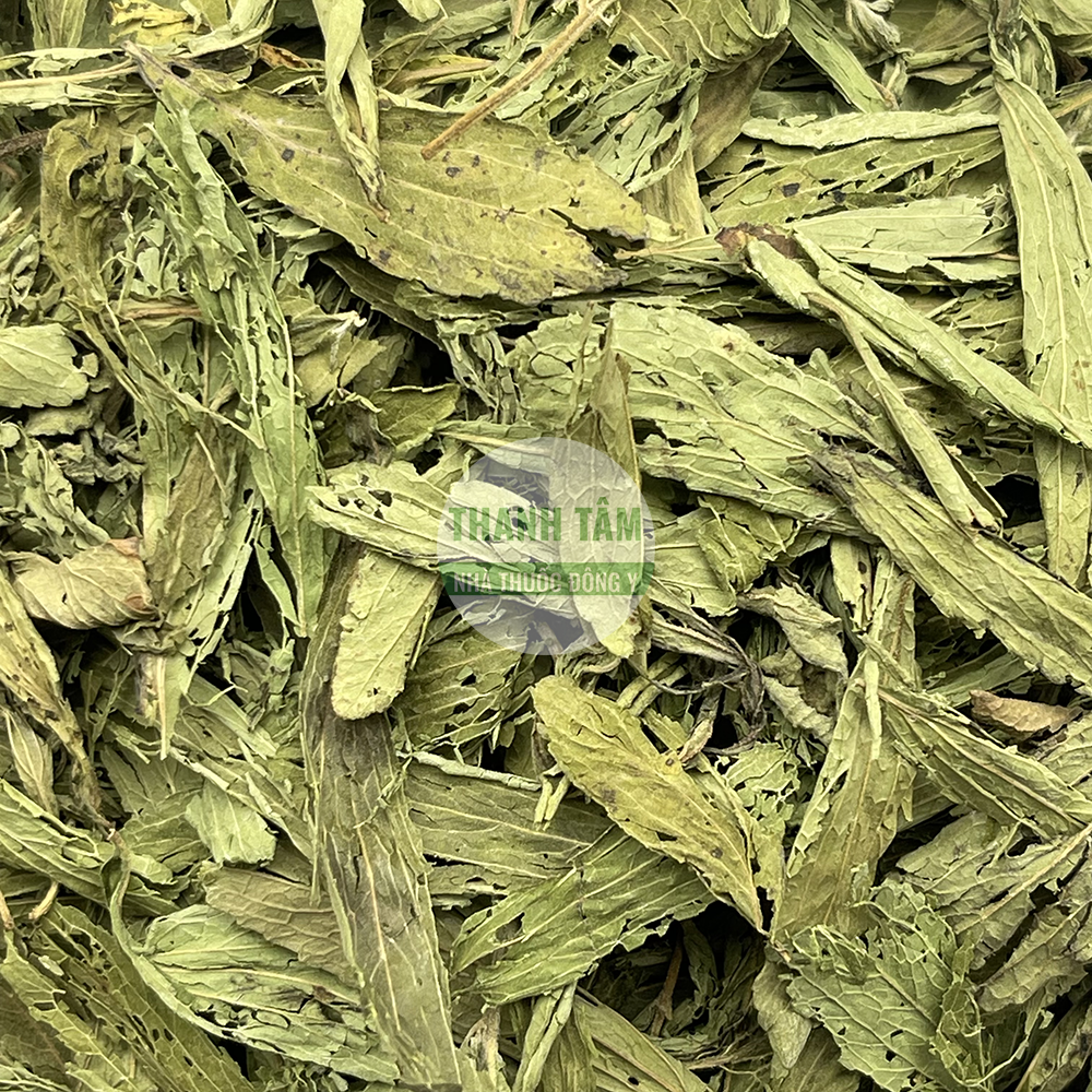 Cỏ ngọt – thảo dược tạo vị ngọt tự nhiên trong Đông y