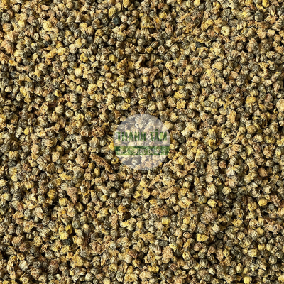 Cúc nụ | Nhà thuốc Thanh Tâm