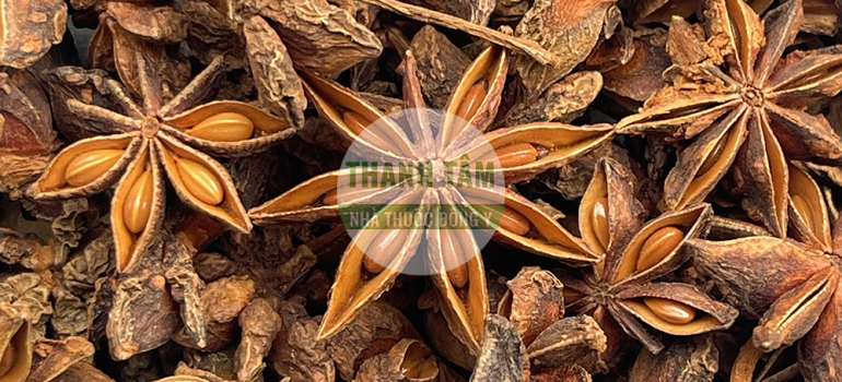 Đại hồi | Nhà thuốc Thanh Tâm