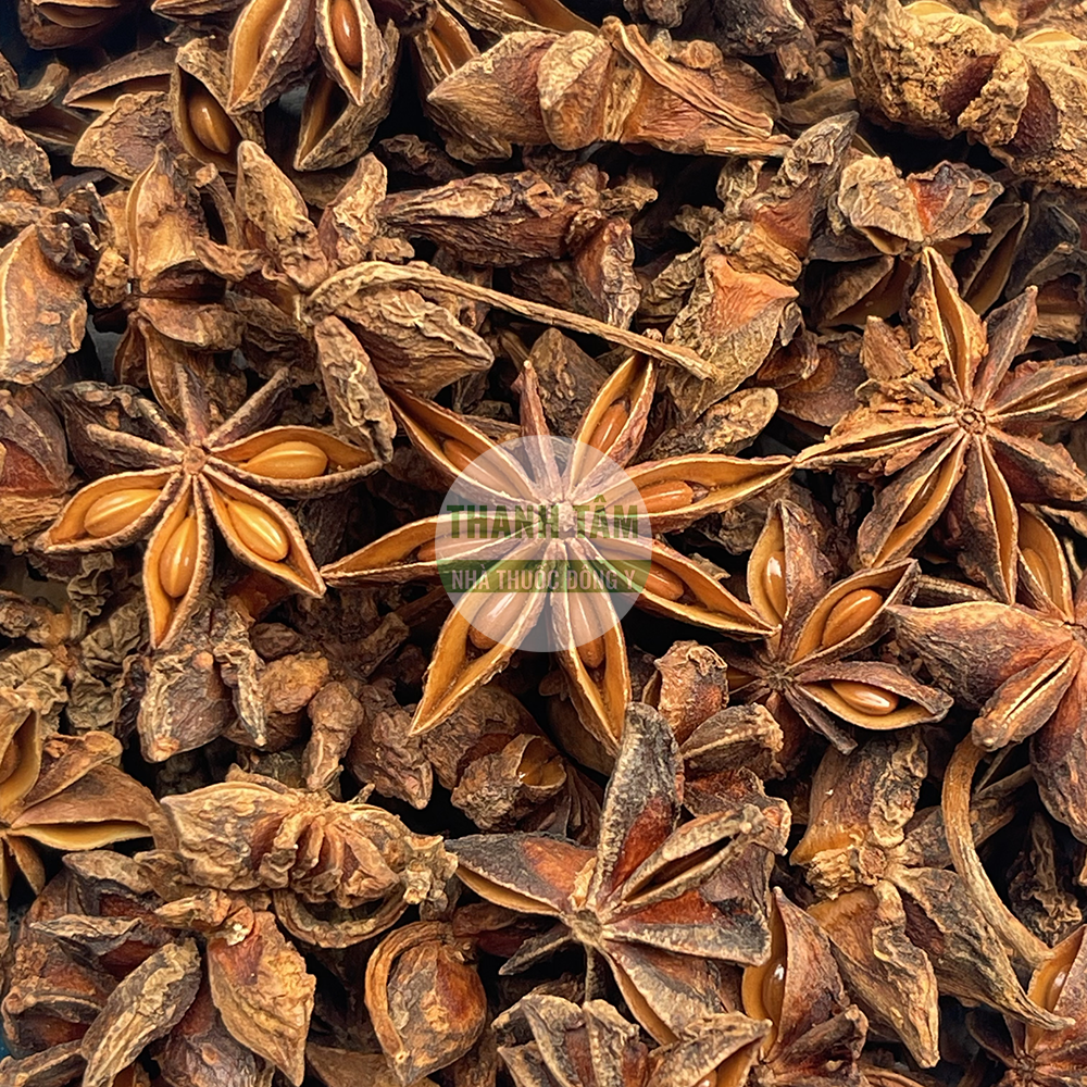 Đại hồi – vị thuốc cay ấm trong Đông y