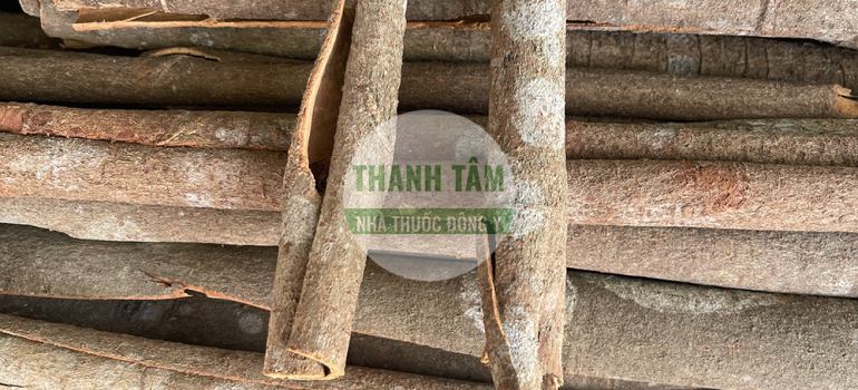 Nhục quế | Nhà thuốc Thanh Tâm