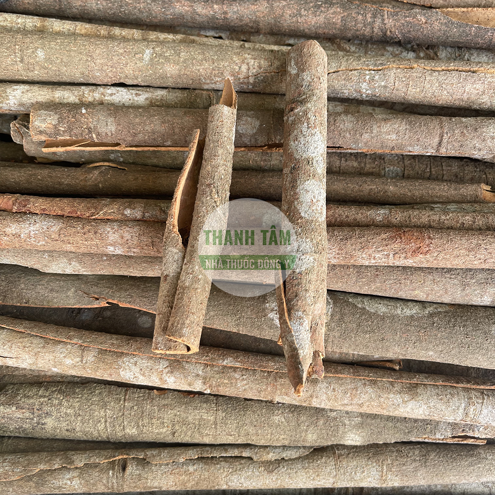 Nhục quế – vị thuốc cay ấm trong Đông y