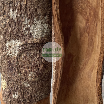 Nhục quế xuất khẩu xa | Nhà thuốc Thanh Tâm