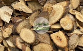 Quế chi | Nhà thuốc Thanh Tâm