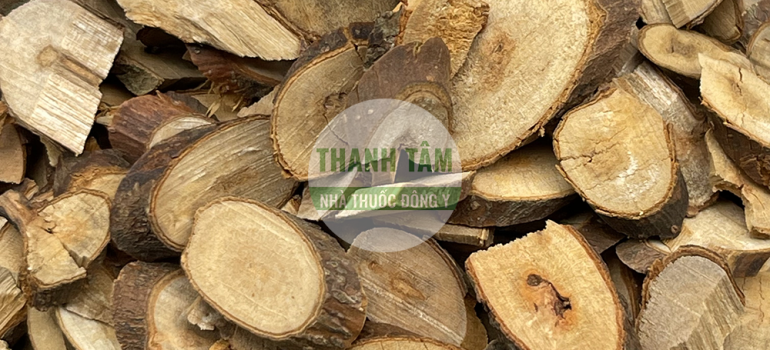 Quế chi | Nhà thuốc Thanh Tâm