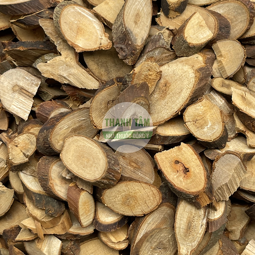 Quế chi – vị thuốc giải biểu trong Đông y