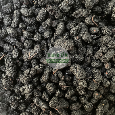 Tang thầm Quả dâu tằm đen | Nhà thuốc Thanh Tâm