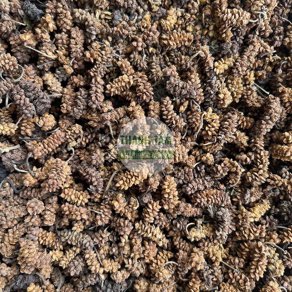 Tang thầm – quả dâu tằm làm thuốc Đông y