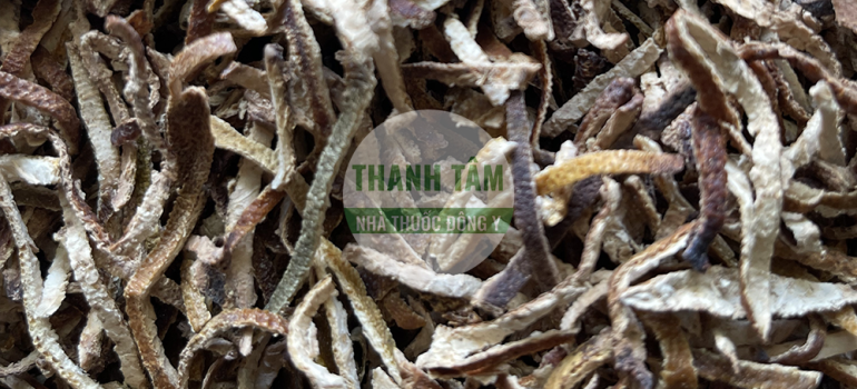 Trần bì phiến | Nhà thuốc Thanh Tâm