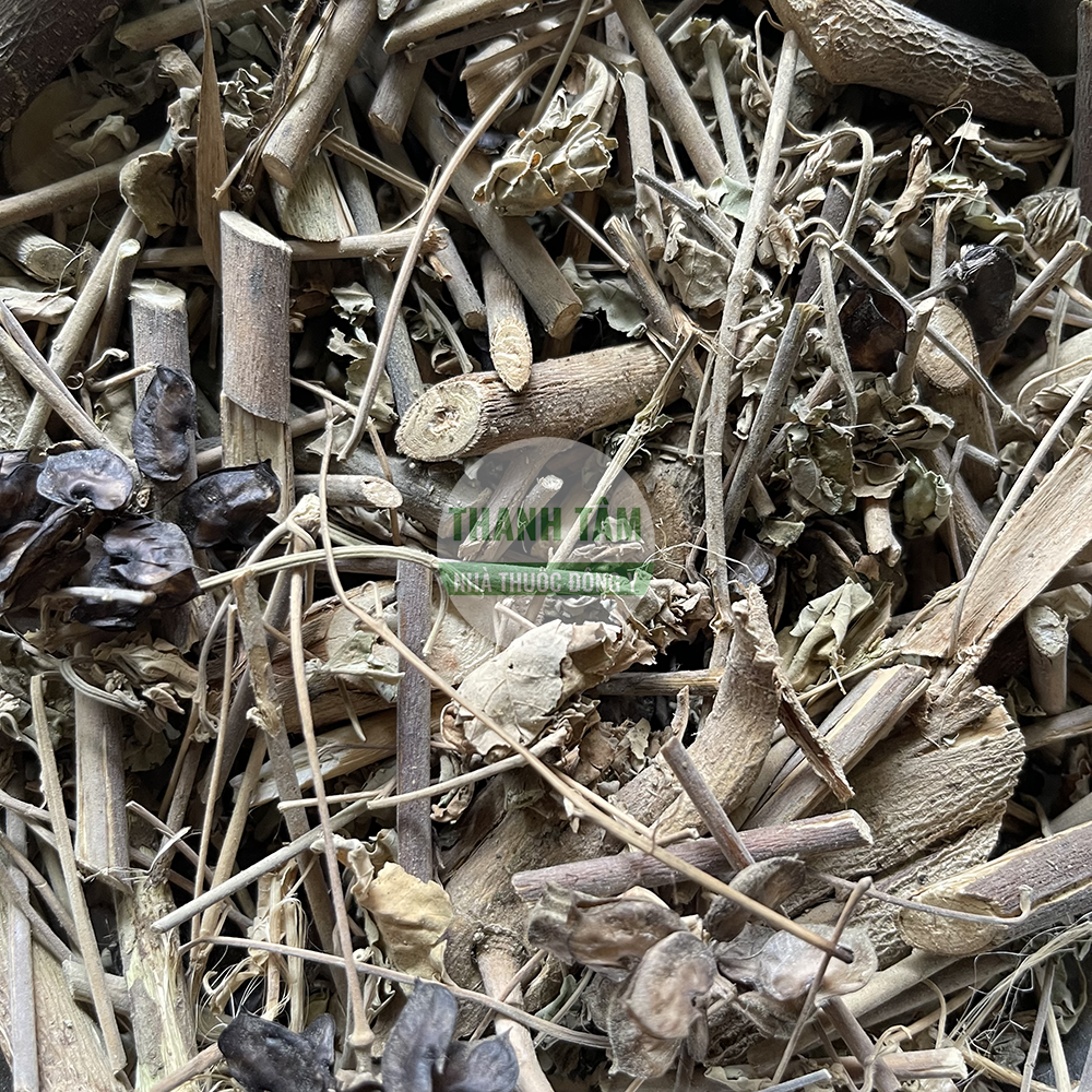Cối xay – vị thuốc nam thanh nhiệt lợi tiểu