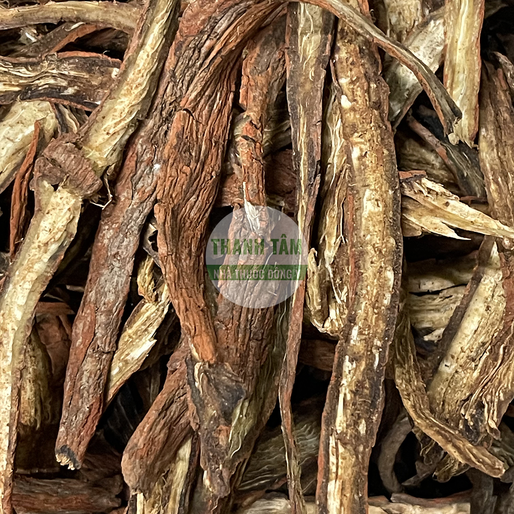 Đan sâm – vị thuốc hoạt huyết, dưỡng tâm