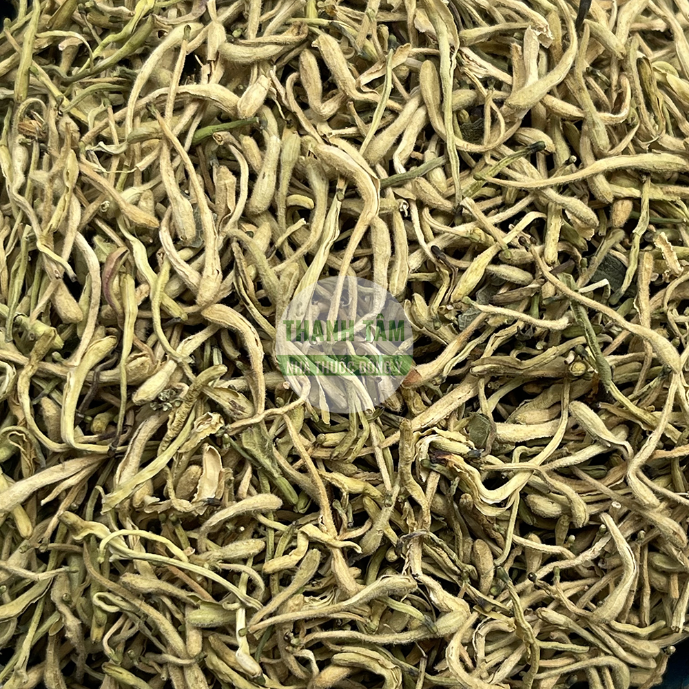 Kim ngân hoa – vị thuốc thanh nhiệt giải độc