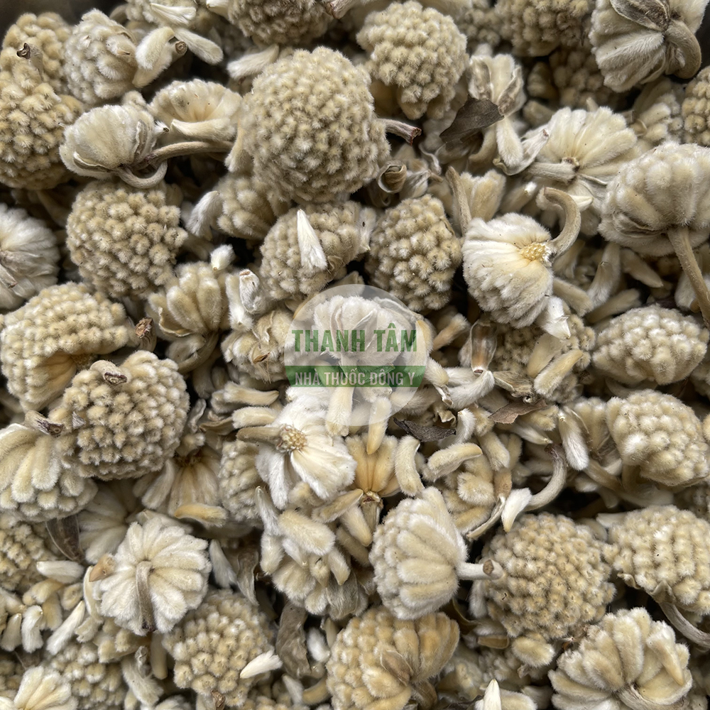 Mật mông hoa – vị thuốc dưỡng mắt trong Đông y