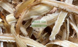 Sa sâm | Nhà thuốc Thanh Tâm