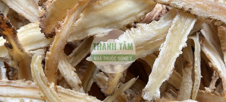 Sa sâm | Nhà thuốc Thanh Tâm