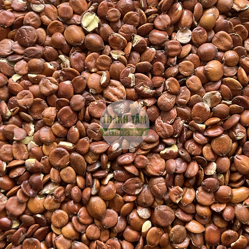 Táo nhân – vị thuốc an thần, dưỡng tâm