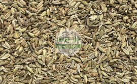 Tiểu hồi | Nhà thuốc Thanh Tâm