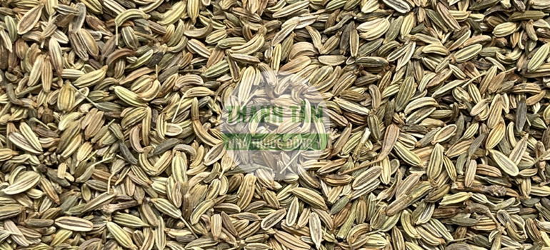 Tiểu hồi | Nhà thuốc Thanh Tâm