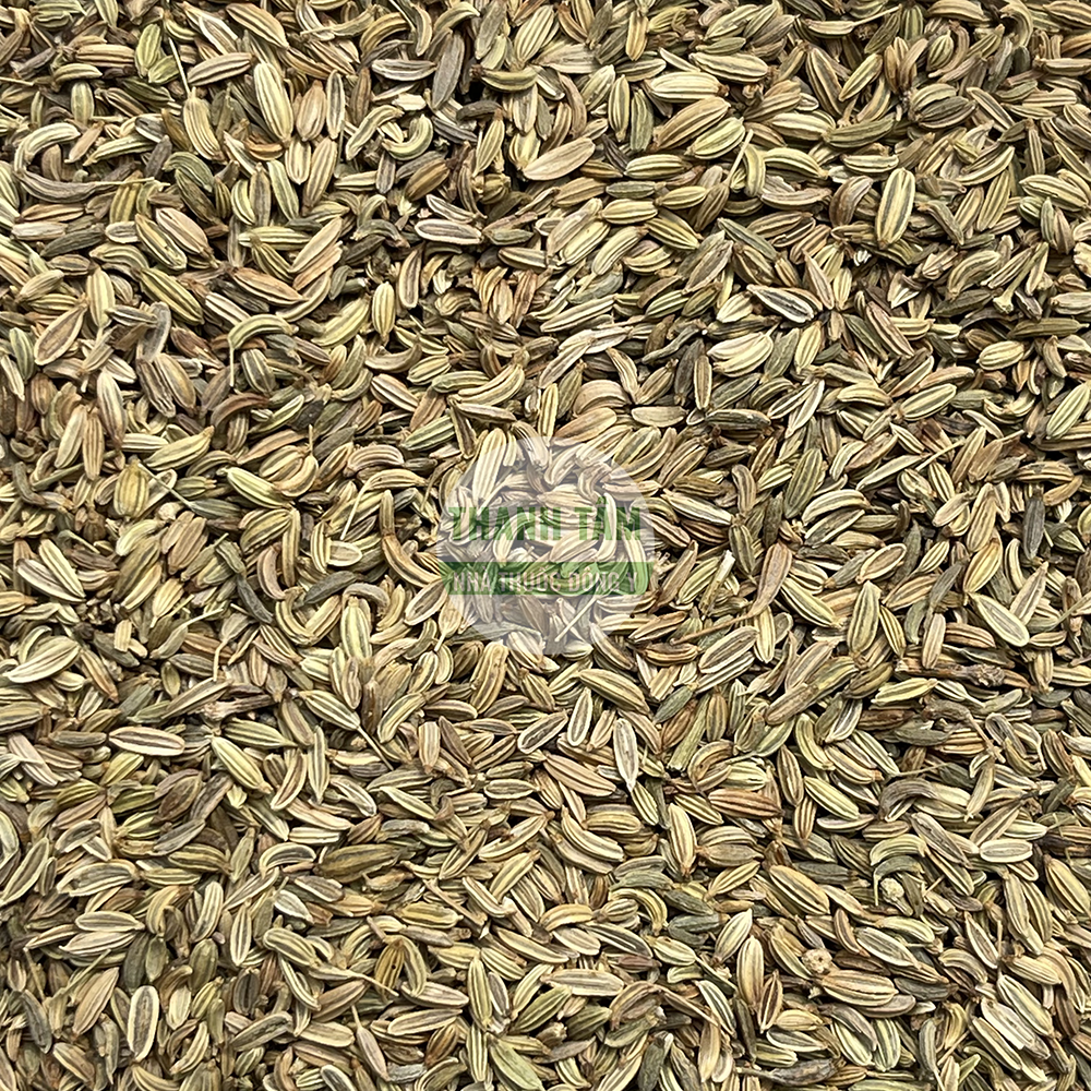 Tiểu hồi – vị thuốc ôn trung tán hàn trong Đông y