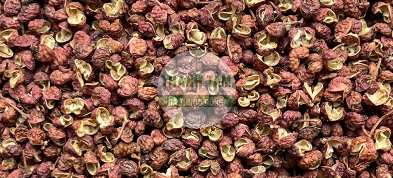 Xuyên hoa tiêu | Nhà thuốc Thanh Tâm