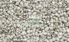 Ý dĩ Bo bo trắng tách hạt | Nhà thuốc Thanh Tâm