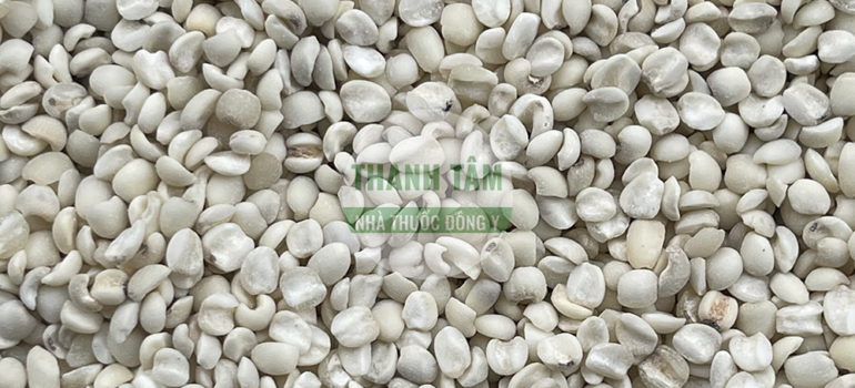 Ý dĩ Bo bo trắng tách hạt | Nhà thuốc Thanh Tâm