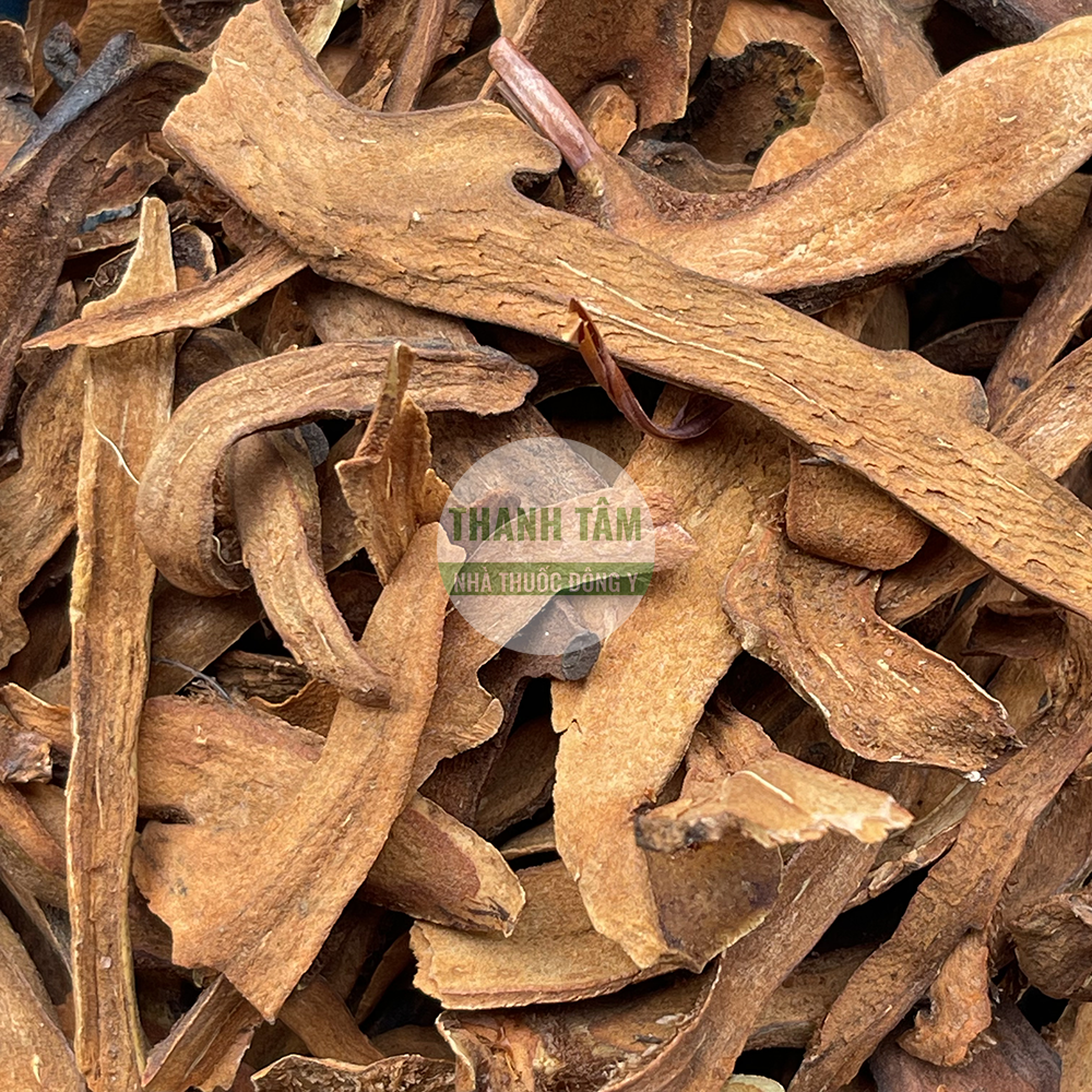 Cốt toái bổ – vị thuốc mạnh gân cốt trong Đông y