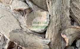 Dây đau xương Khoan căn đằng | Nhà thuốc Thanh Tâm