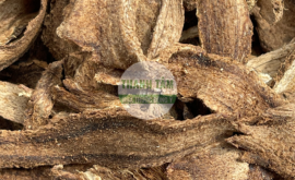 Mộc hương | Nhà thuốc Thanh Tâm