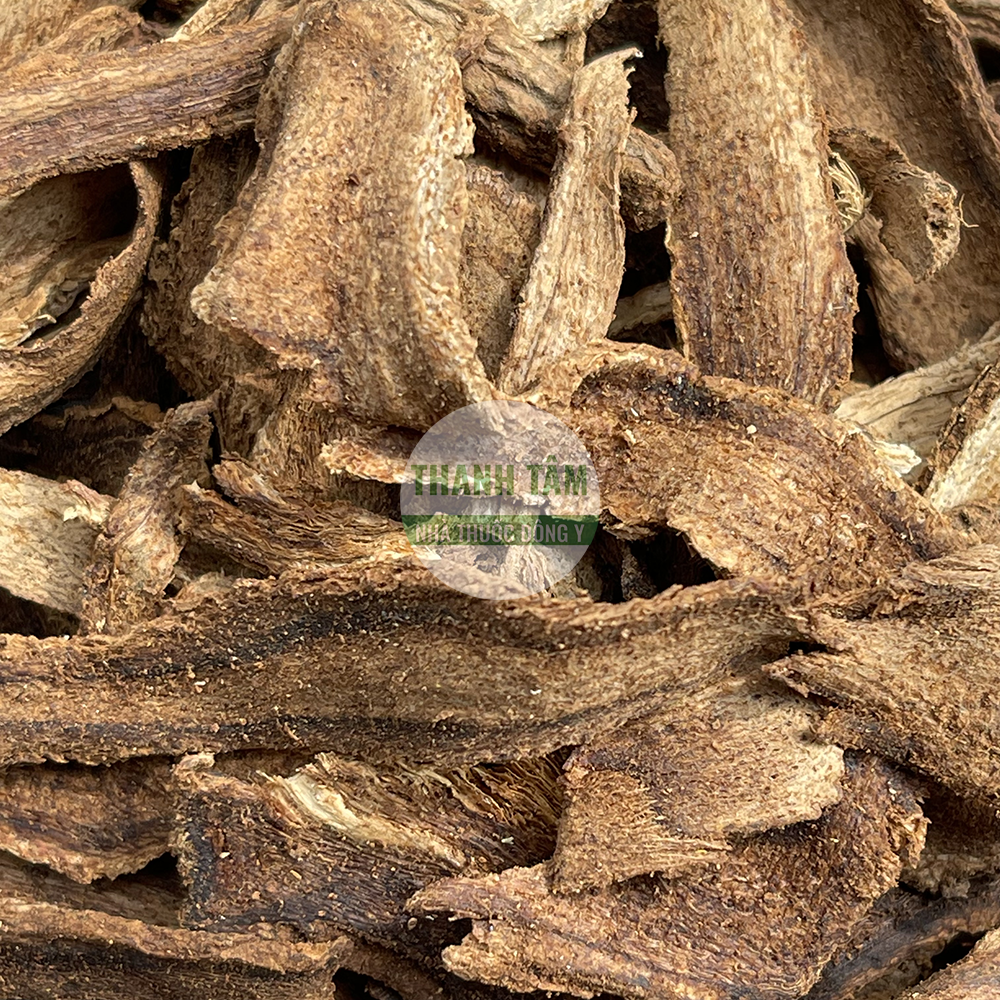 Mộc hương – vị thuốc hành khí tiêu thực
