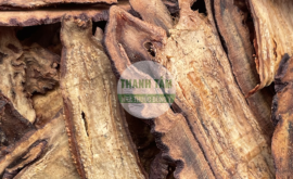 Mộc qua | Nhà thuốc Thanh Tâm